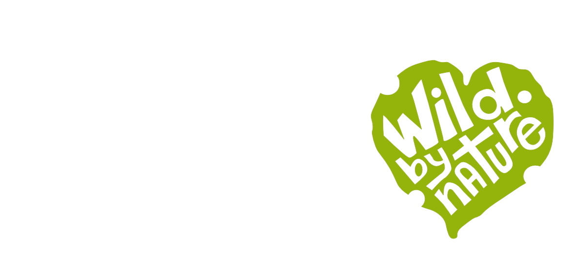 Promoting Buller Incorporated