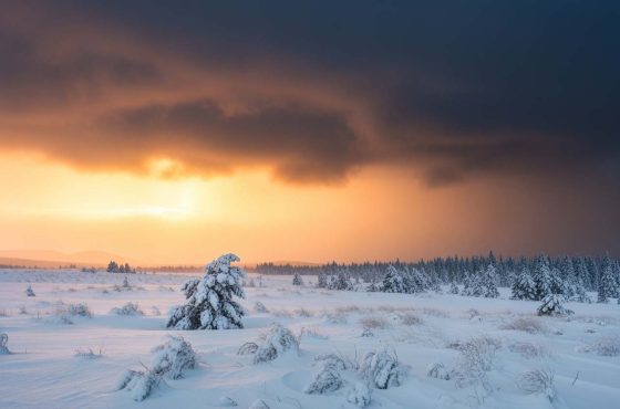 Cosy Escapes: Winter Retreats in Buller