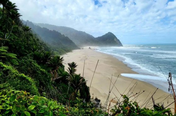 Sun, Flavour, and Local Charm: A Taste of Summer in Buller