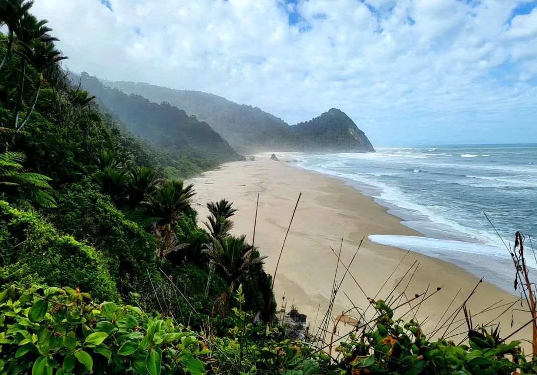 Sun, Flavour, and Local Charm: A Taste of Summer in Buller