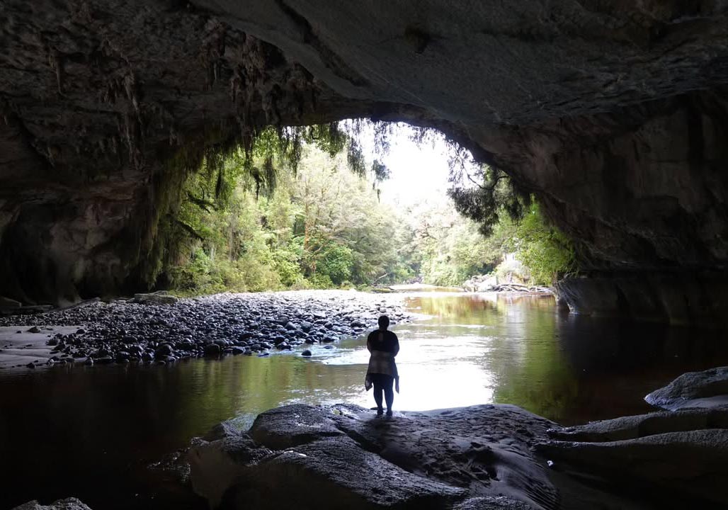 Awakening the West: Why Spring is the Perfect Time to Visit Buller